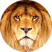 Lion Soul